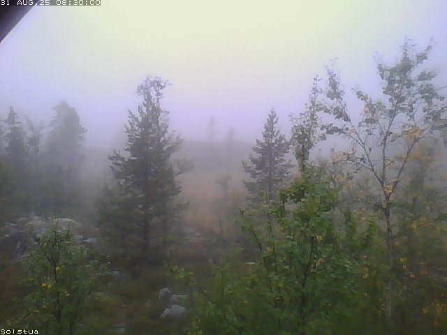 Webcam Tempelsetra, Sigdal, Buskerud, Norwegen
